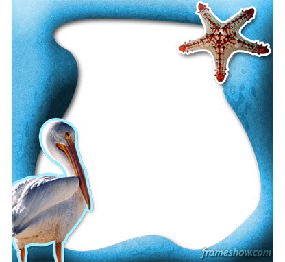 ������ ���� ������ �� ���� ������